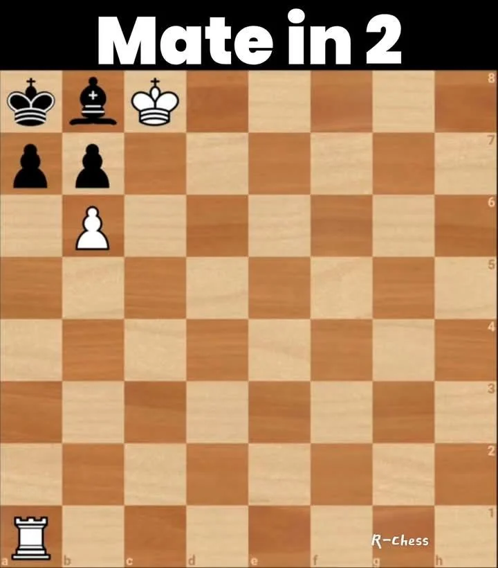 white to move and mate in 2